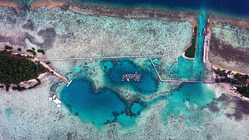 Nature, Sea, Shore, Bank, Lagoon, Channel, Top View, View Of The Top HD wallpaper