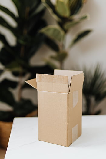 An open cardboard box on a white surface with plants in the background indoors. HD phone wallpaper