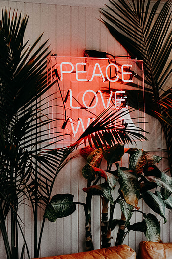 Plants, Love, Words, Backlight, Illumination, Inscription, Text HD phone wallpaper
