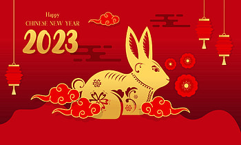 Year of the rabbit, holiday, Chinese New Year HD wallpaper