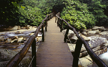 Bridge, Great Smoky Mountains National Park HD wallpaper