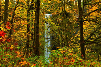 Waterfall in autumn forest, place, woods, fall, colors, beautiful, nice, falling, leaves, waterfall, trees, autumn, nature, lovely, forest, stream HD wallpaper