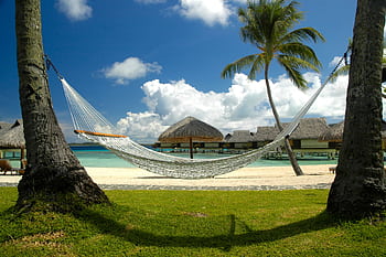 Relaxing beach scene with a hammock, bungalows, and palm trees on a sunny day. HD wallpaper