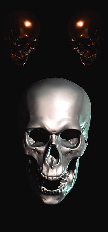 Skull, Head HD phone wallpaper