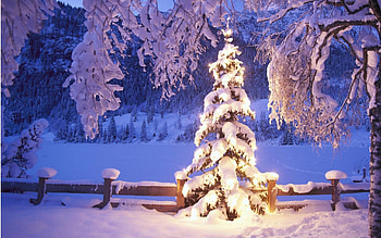 For > Christmas Scene Background HD wallpaper