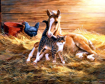 horse and cat, cat, horse, friends, animals HD wallpaper