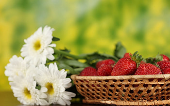 Flowers, Food, Strawberry, Berries, Basket HD wallpaper