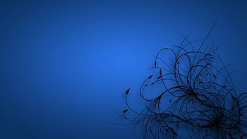 Blue Color Background - , High Definition, High . HD wallpaper