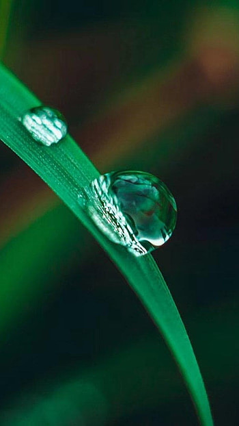 Water Drop Notch, Natures Beauty, nature, beauty HD phone wallpaper