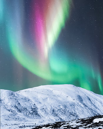 Colorful aurora borealis dancing over snowy hills in Senja, Norway, creating a breathtaking night scene. HD phone wallpaper