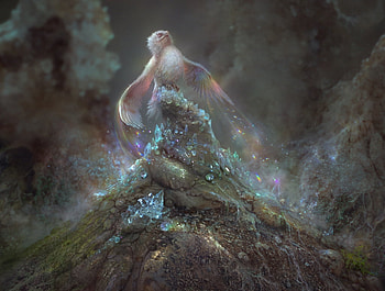 Fantasy bird, bird, fantasy, cornacchia art, pasare, cornacchiaart, luminos HD wallpaper