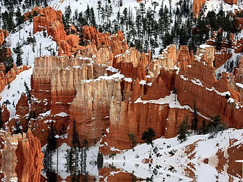 Snow Covered, trees, canyon, snow, rock HD wallpaper