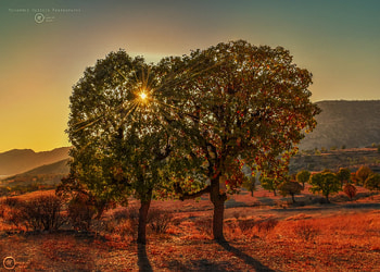 Kurdistan Nature, kurdistan, grapher, landscape, , kurd, graph HD wallpaper