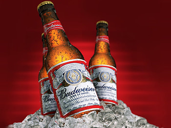 Bud Bottles, budweiser, ice HD wallpaper