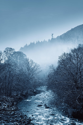 Nature, Rivers, Trees, Fog HD phone wallpaper