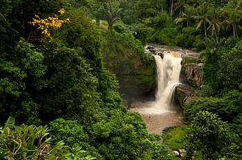 Nature, Palms, Rock, Waterfall, Forest, Bali, Indonesia HD wallpaper