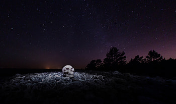 Skull, Stones, Night, Dark, Starry Sky HD wallpaper