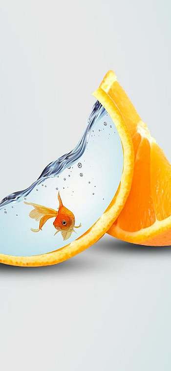 Gold Fish, Striking , Golden hues, Nature-inspired art HD phone wallpaper