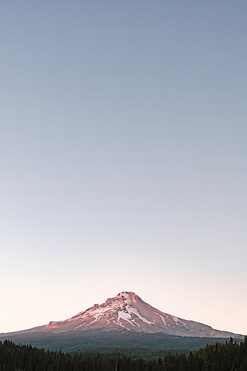 Nature, Trees, Snow, Mountain, Vertex, Top, Snow Covered, Snowbound HD phone wallpaper
