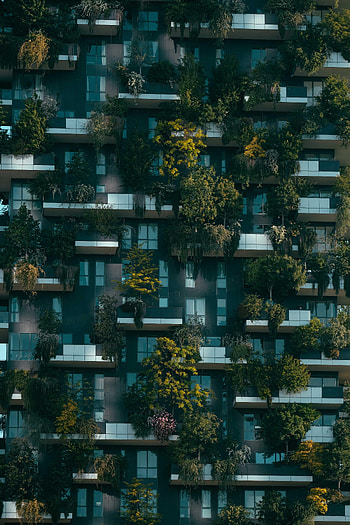 Plants, Building, Miscellanea, Miscellaneous, Facade HD phone wallpaper