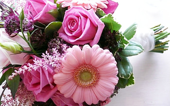 Plants, Flowers, Bouquets HD wallpaper