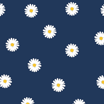 Daisy, electric blue, Flower, petal HD phone wallpaper
