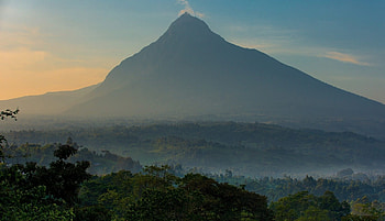 Virunga National Park, Congo safari, Wildlife conservation, Pristine natural habitat HD wallpaper