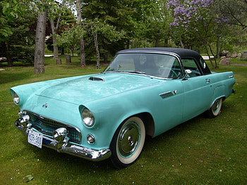 1955 Ford Thunderbird, ford, 1955, classic, t bird, thunderbird, vintage HD wallpaper