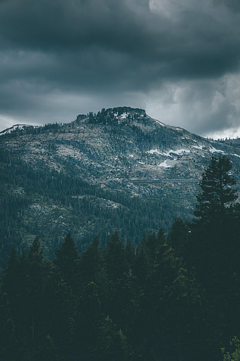 Nature, Trees, Mountain, Vertex, Top, Overcast, Mainly Cloudy HD phone wallpaper