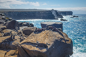 Galapagos Islands, Aqua Expeditions, Luxury travel, Exquisite experience HD wallpaper