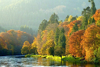 Autumn Trees, , trees, colors, autumn, beautiful HD wallpaper