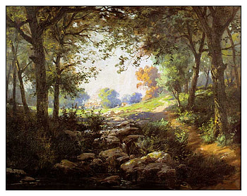 Anatolia, forest HD wallpaper