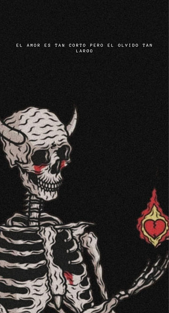 Amor, skeleton, sunglasses HD phone wallpaper