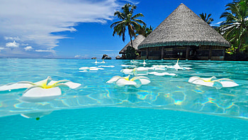 Cancun Mexico beach, Tropical summer HD wallpaper