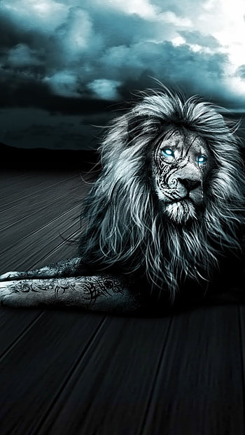 Black Lion, Blue Eyes HD phone wallpaper