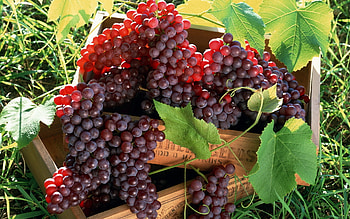 grapes, box, crate, fruit, grass HD wallpaper