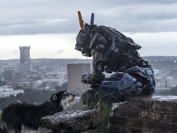 Chappie movie, Ricky's film reviews, Worth watching HD wallpaper