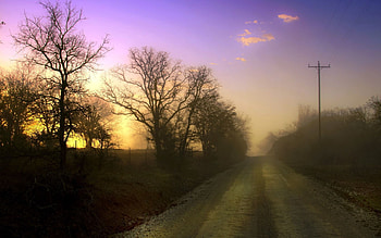 Nature, Trees, Dawn, Road, Fog, Pillars, Posts HD wallpaper