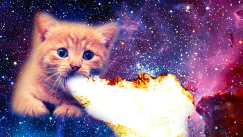 Cataclysm - DRUIDS WIN AGAIN (Fire Cat Form HD wallpaper