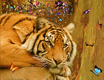 The Ephemeral Serenity, rest, tiger, fantasy, ephemeral, serenity HD wallpaper