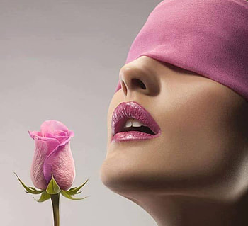 Pink Rose, rose, pink, graphy, models, people HD wallpaper