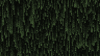 The Matrix Typography, matrix, computer, typography, hacker, ubuntu, linux, terminal HD wallpaper