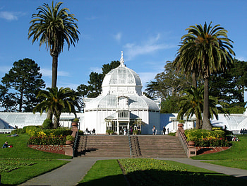 Golden Gate Park, Conservatory of flowers, Lowland tropics, San Francisco HD wallpaper