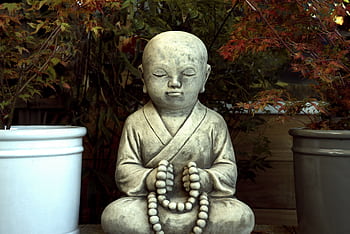 Zen Buddhist statue in tranquil garden with autumn leaves. HD wallpaper