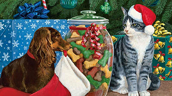 :-), dog, cat, painting, christmas HD wallpaper
