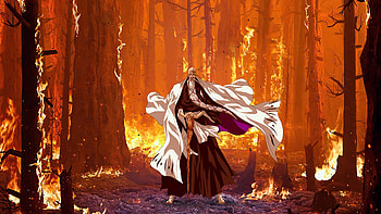 Yamamoto, fire, Gotei 13, Genryūsai Shigekuni Yamamoto, Anime, Bleach HD wallpaper
