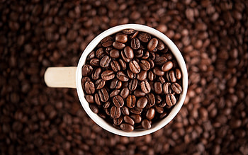 Coffee Beans, Coffee bean background, Food HD wallpaper