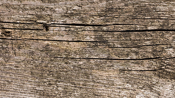 Cracked, Old Wood HD wallpaper
