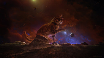 Cat, cosmos, clouds, dark, fantasy, art HD wallpaper