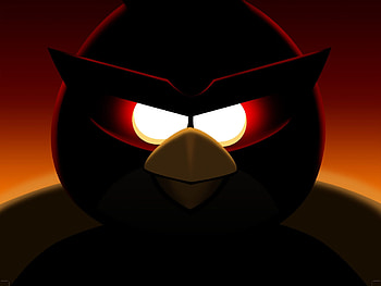 Angry Birds, , Colorful feathers, Avian fun HD wallpaper